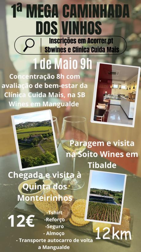 Cartaz do evento 1ª Mega Caminhada dos Vinhos